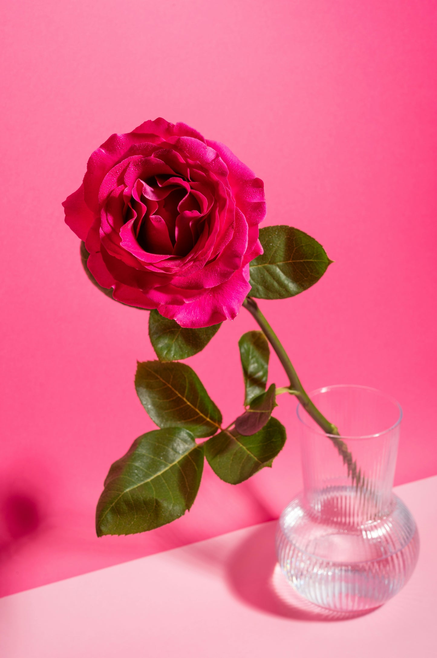Rose Harmony Essential Oil